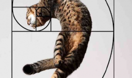 在构图中有哪些好用又简单的构图方法？