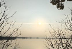 生活应该以什么方式去度过?