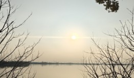 生活应该以什么方式去度过?